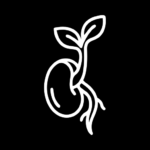 Higher germination and crop vigor icon