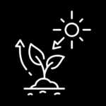 Improved photosynthetic efficiency icon