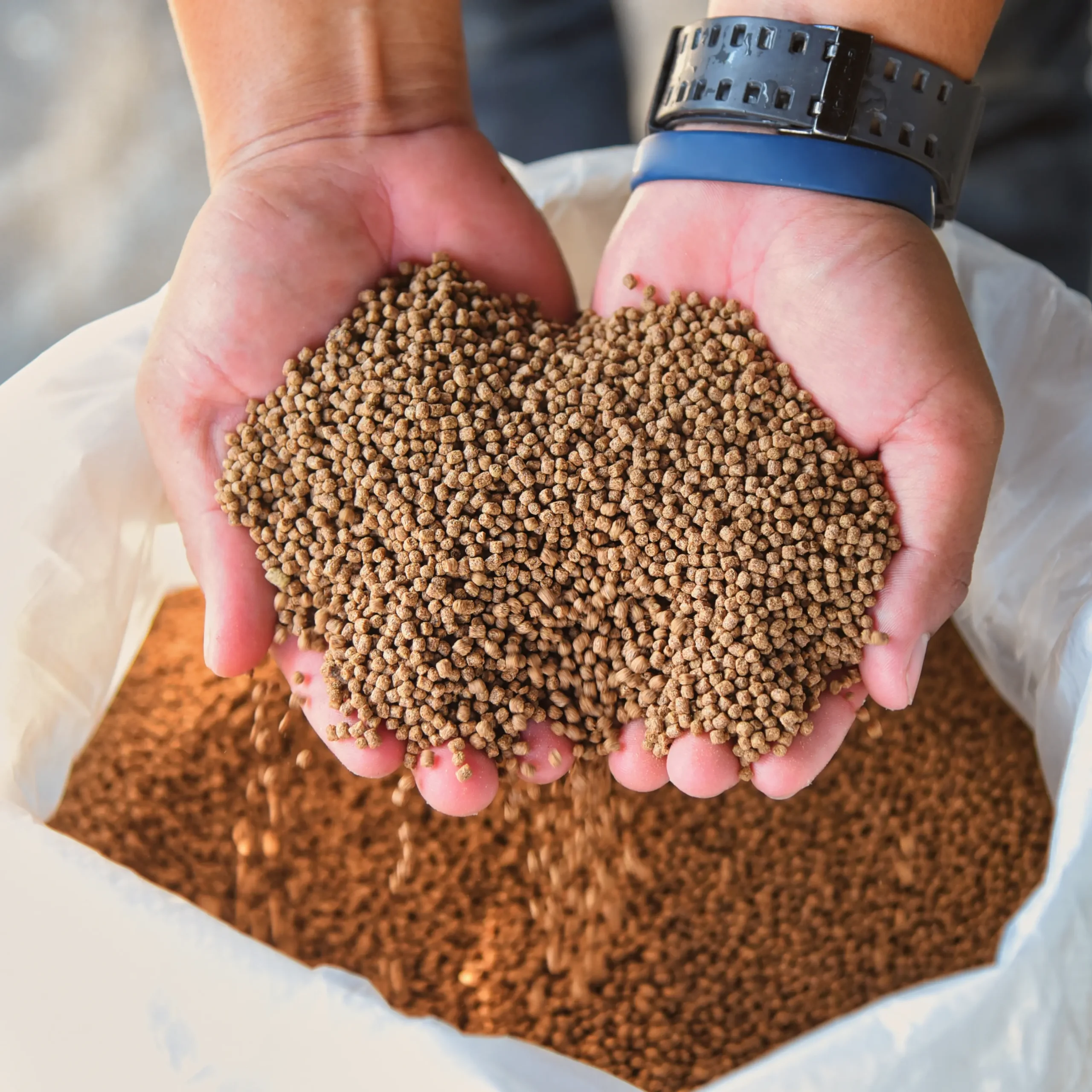 Real commercial shrimp feed pellets